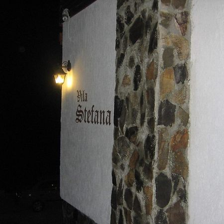 Vila Stefana Păltiniş エクステリア 写真