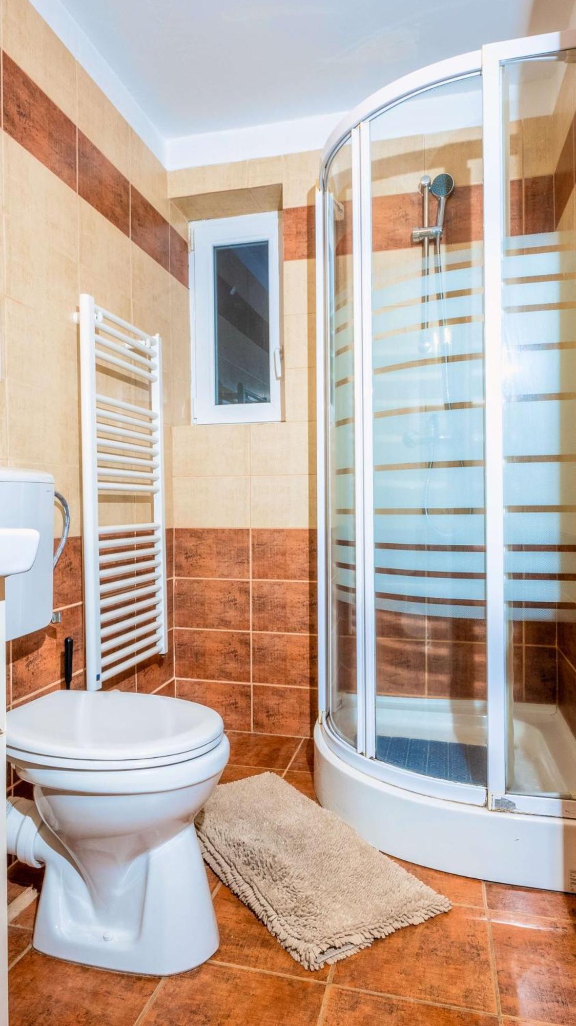 Vila Stefana Păltiniş 部屋 写真