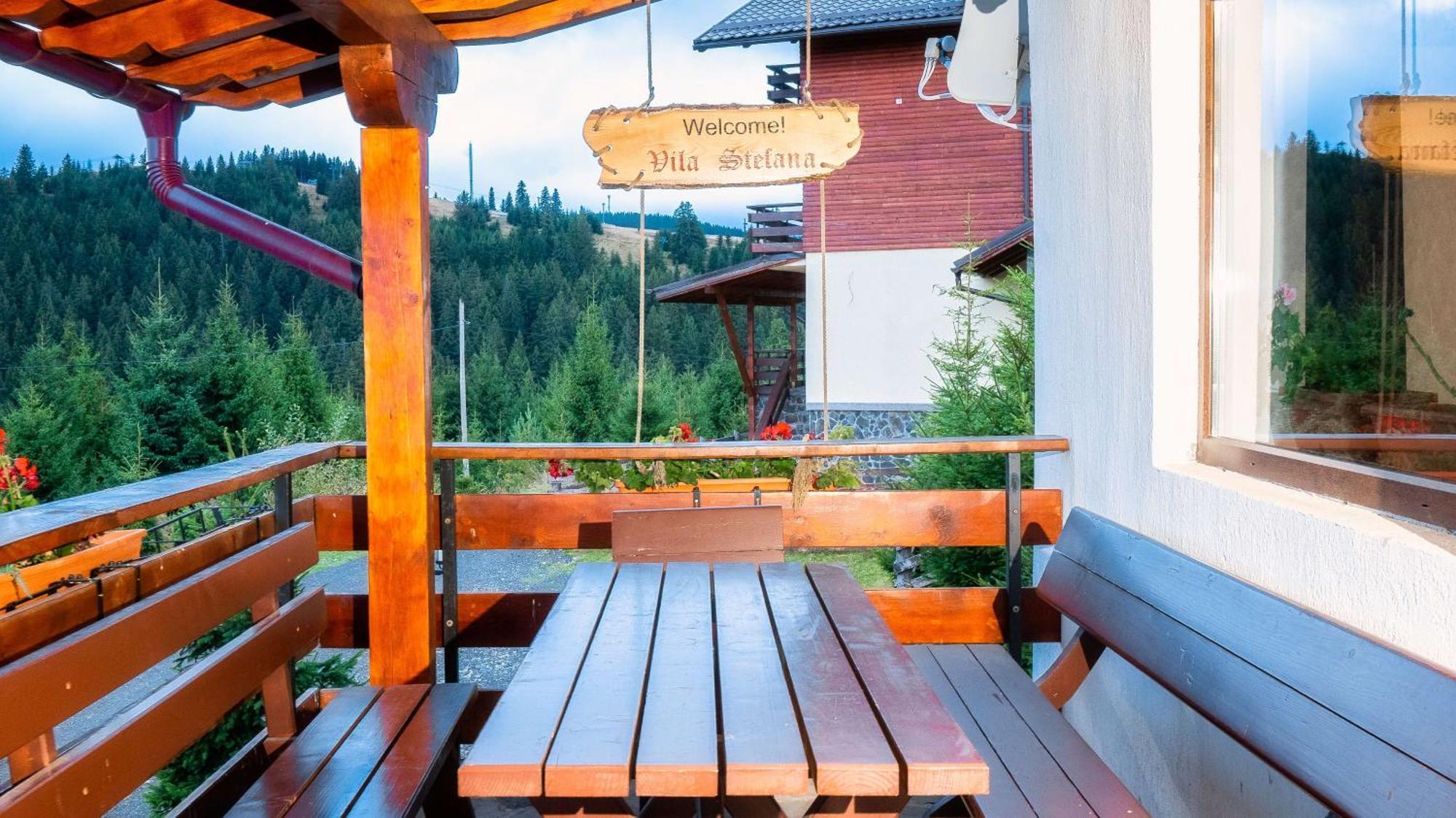 Vila Stefana Păltiniş エクステリア 写真