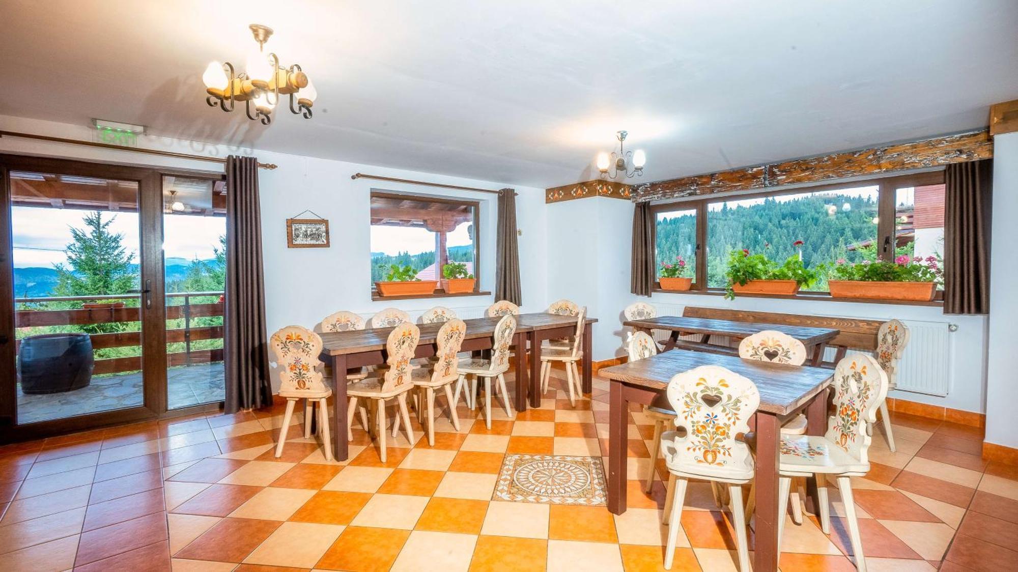 Vila Stefana Păltiniş エクステリア 写真