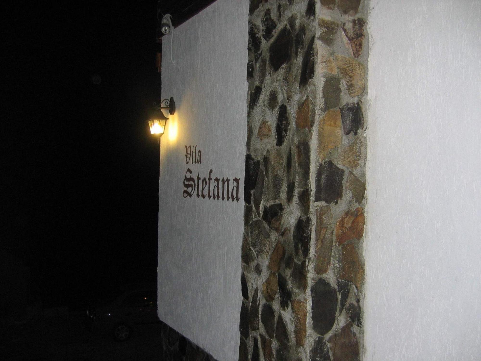 Vila Stefana Păltiniş エクステリア 写真