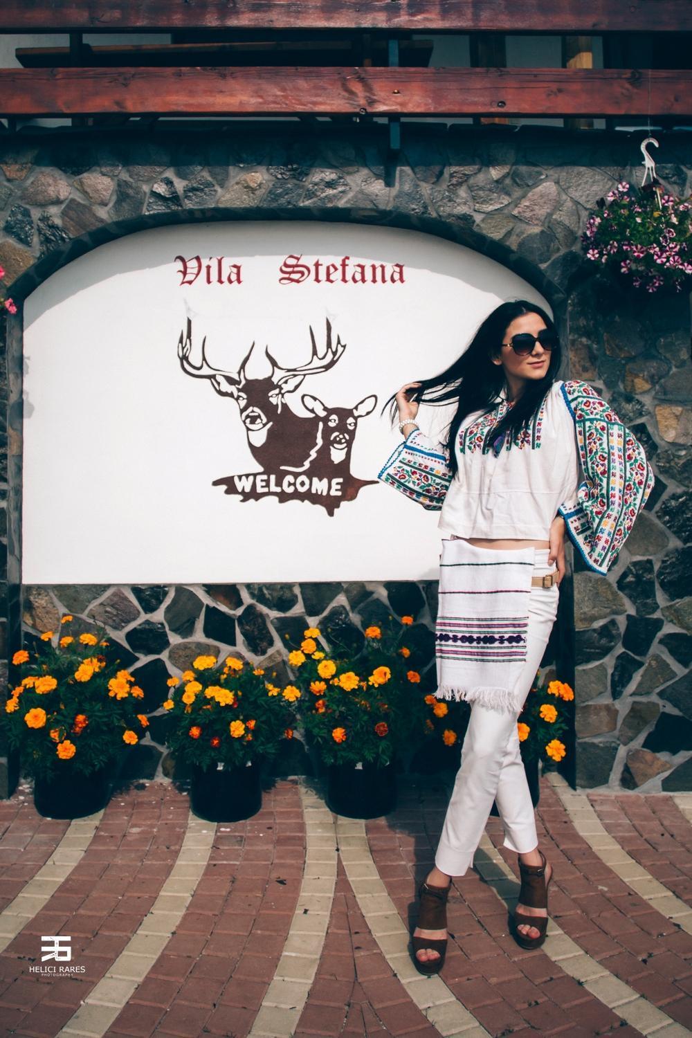Vila Stefana Păltiniş エクステリア 写真